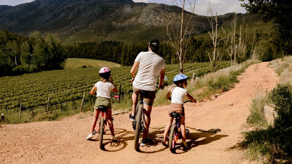 Stellenbosch - het wijnbouwcentrum van Zuid-Afrika | Matoke Tours