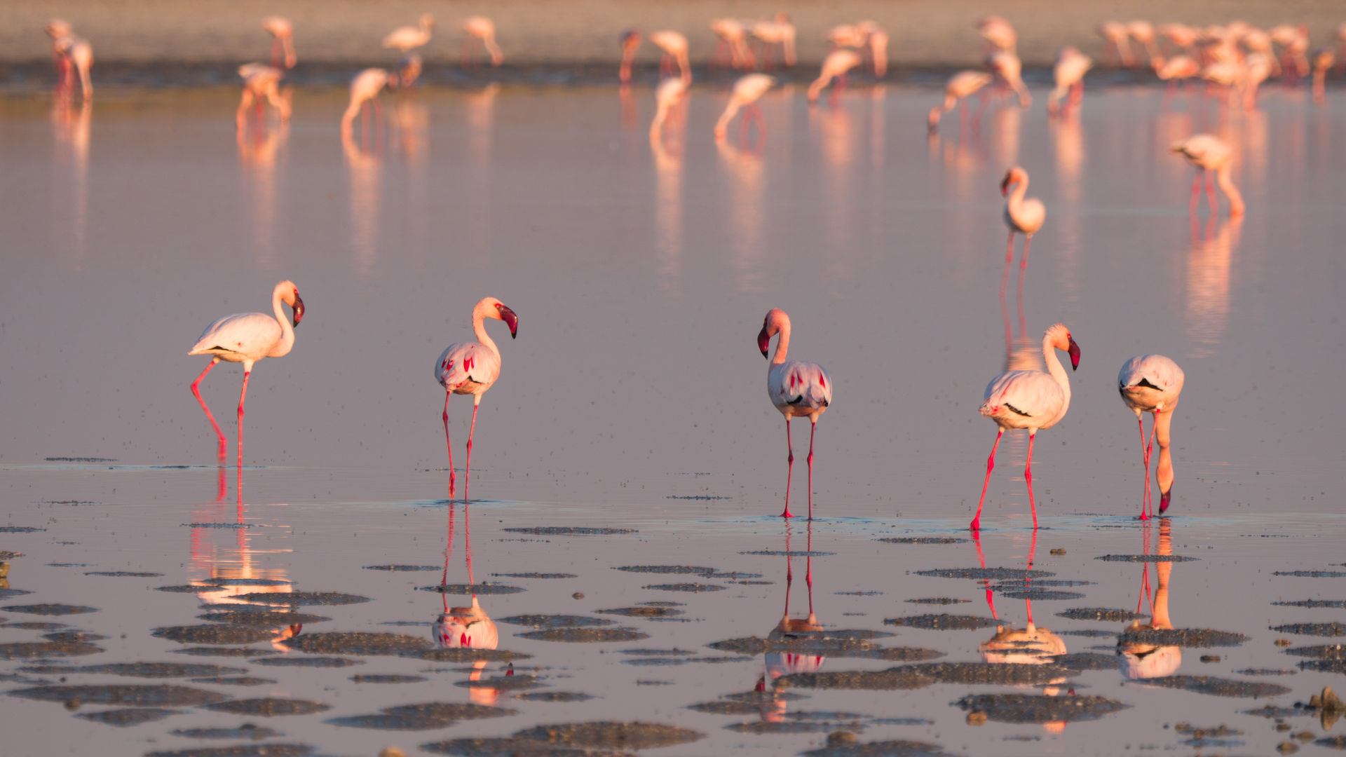 Rondreis Botswana 14 dagen met Helikoptersafari - Matoke Tours