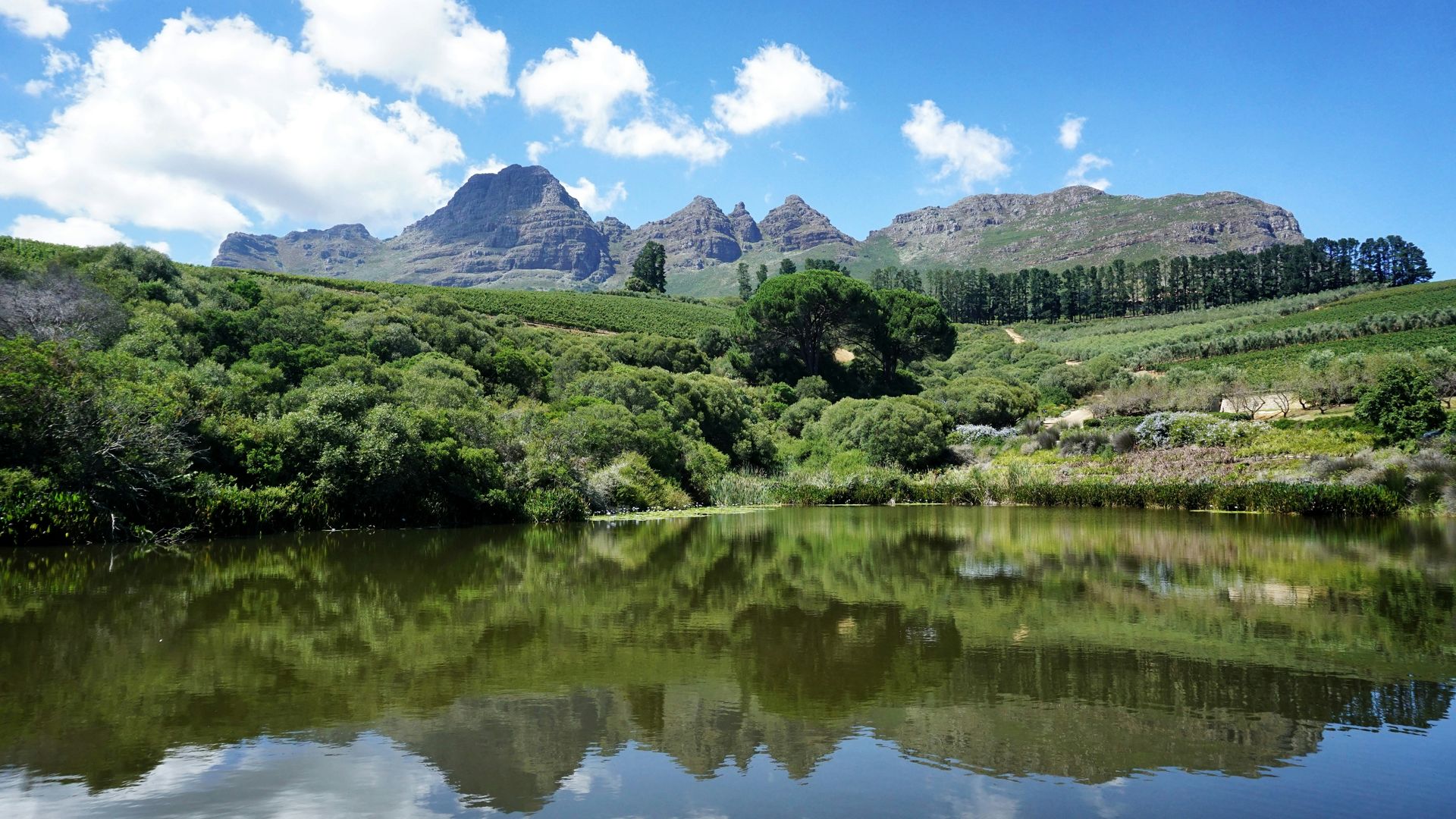 Franschhoek gebergte