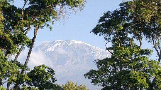 Halisi Kilimanjaro Machame Farm » Matoke