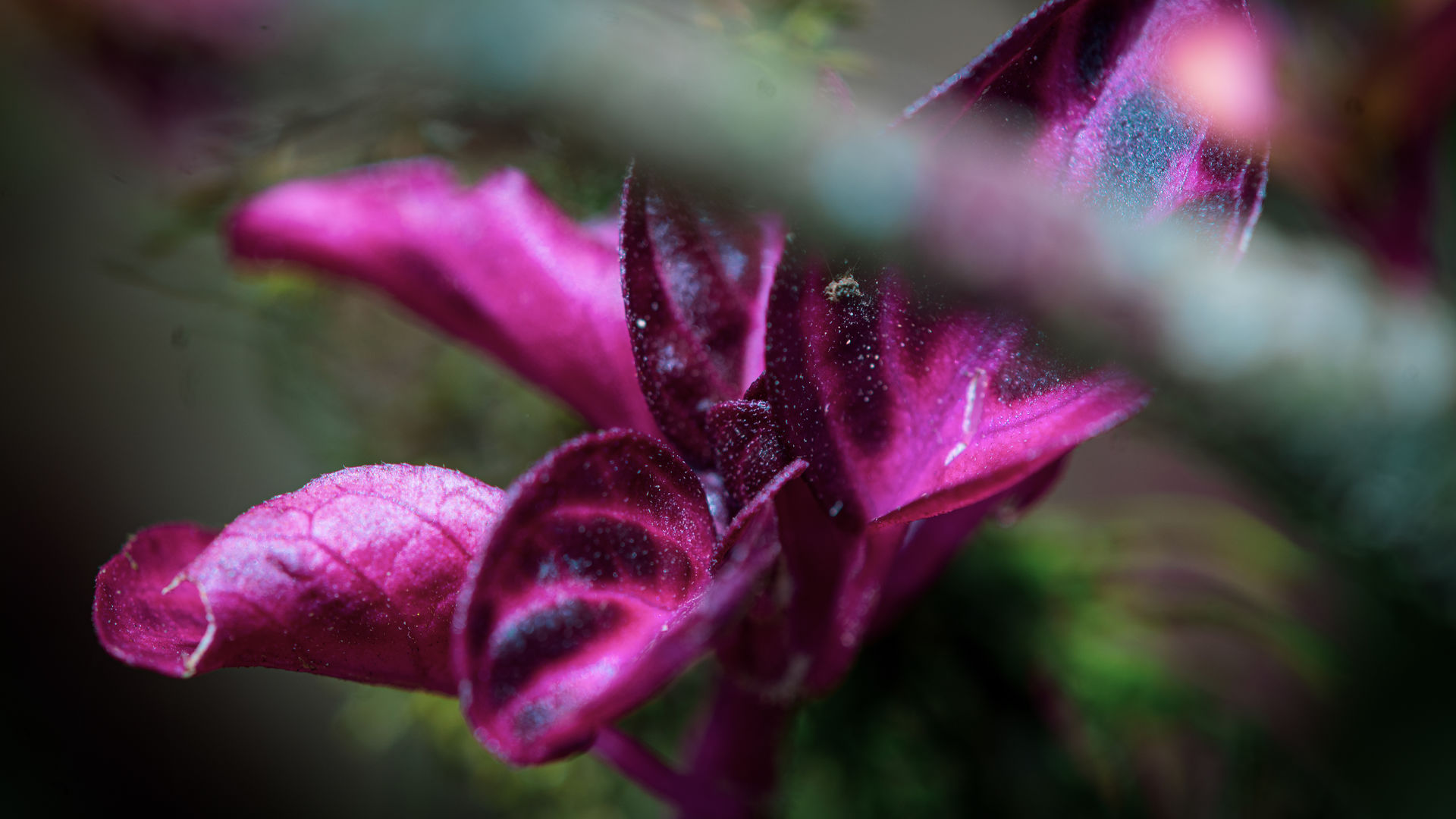 Durban - bruisende kuststad Zuid-Afrika | Matoke Tours