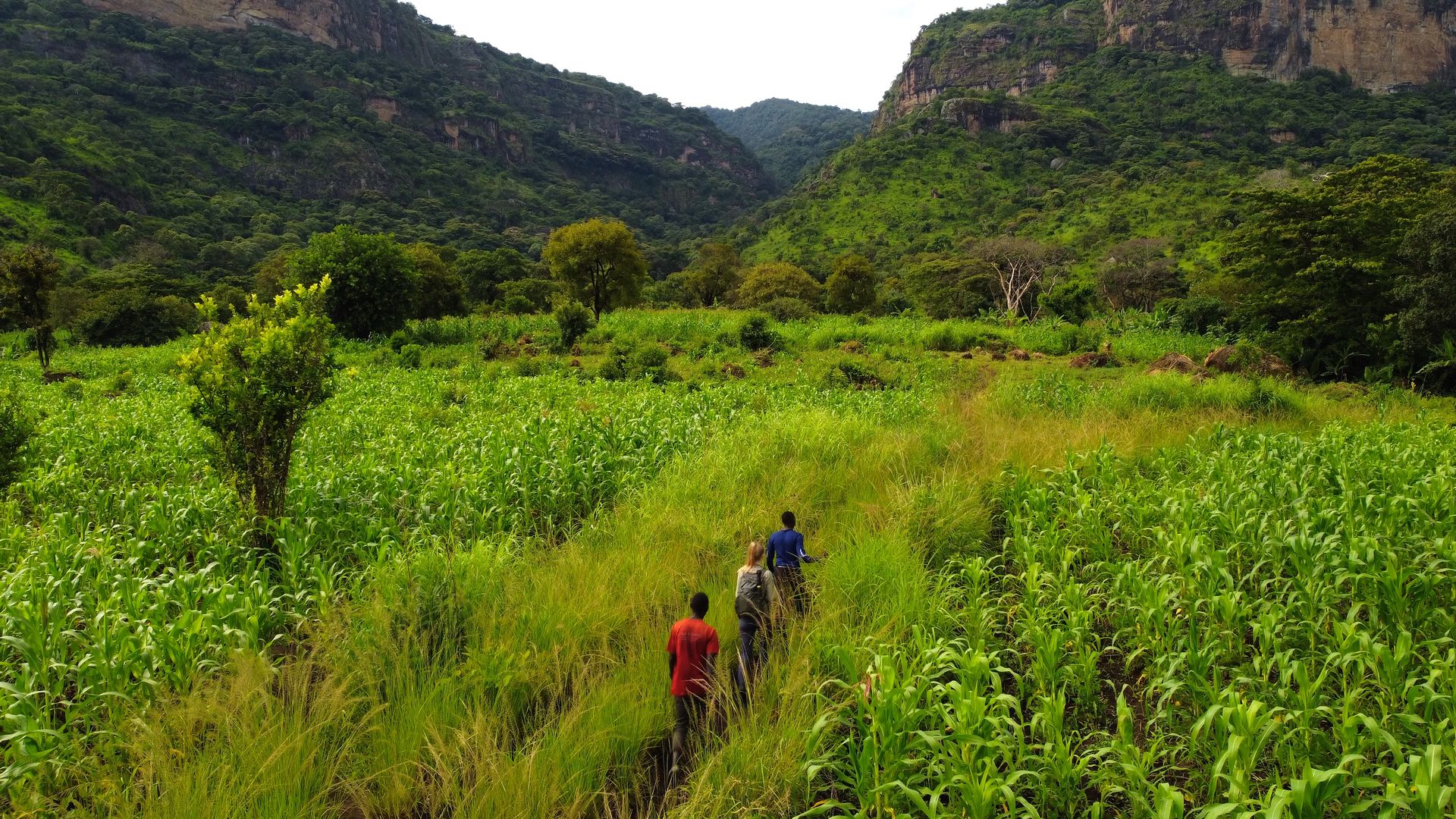 Wandelreizen Afrika - Hiking & trekking | Matoke Tours