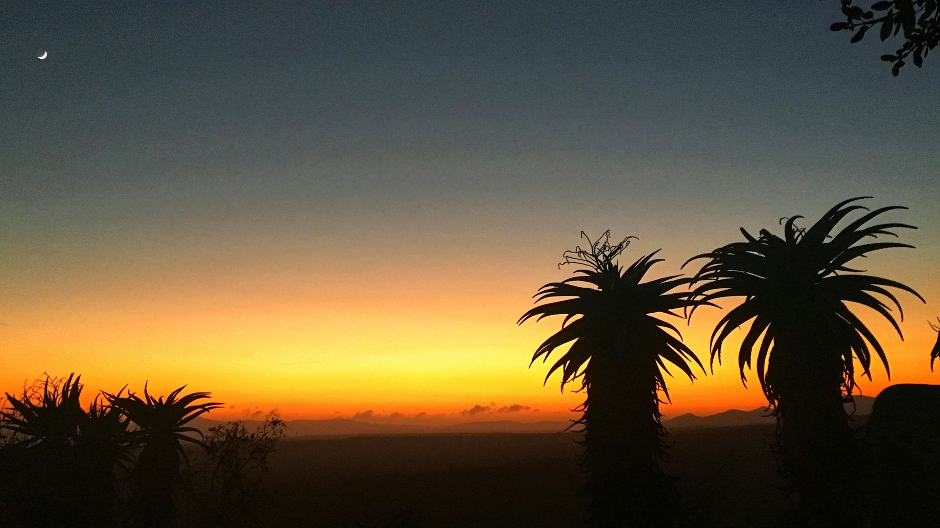 Hluhluwe-iMfolozi wildreservaat | Matoke Tours