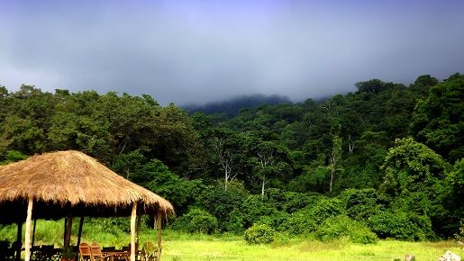 Hondo Hondo Udzungwa Forest Tented Camp » Matoke