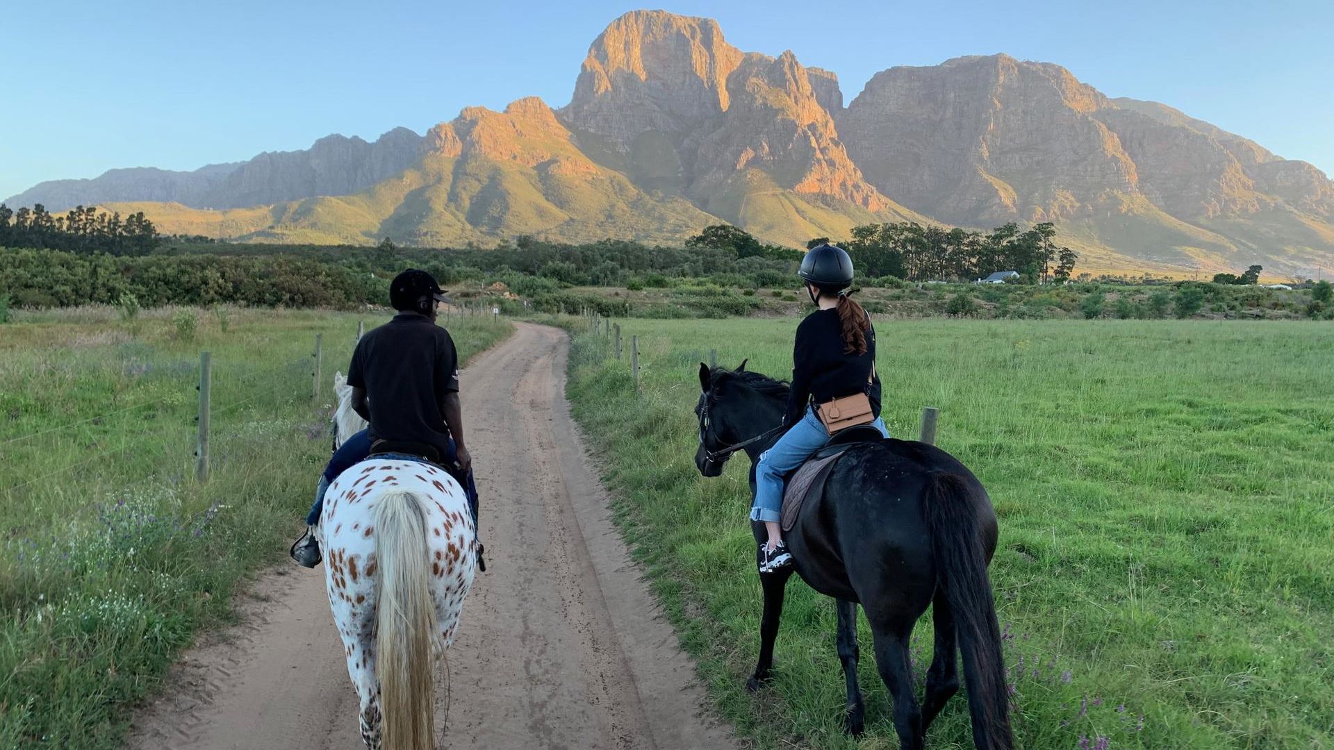 22-daagse Familereis Zuid Afrika - naar Zuid Afrika met kinderen