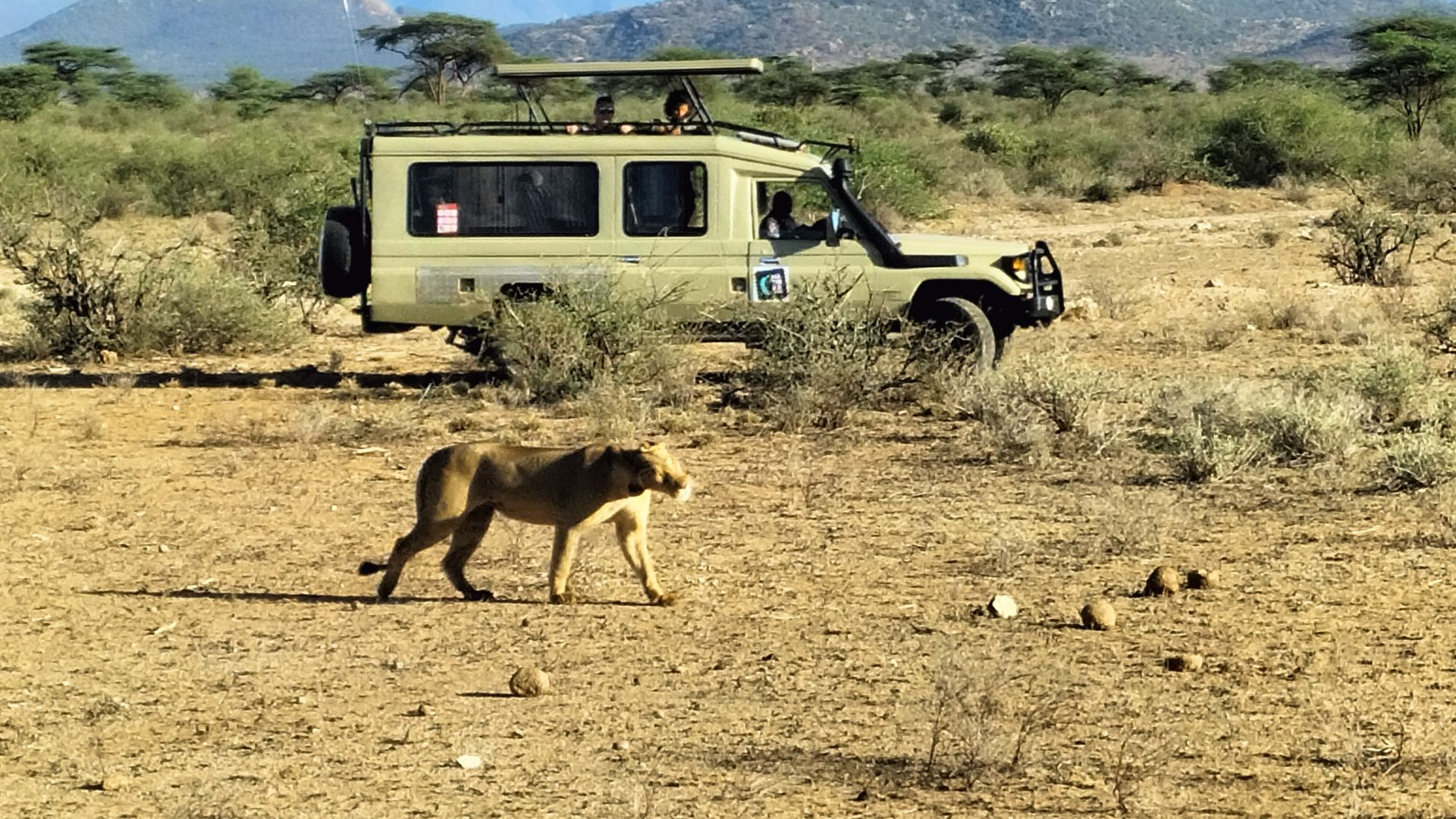 Samburu National Reserve bezoeken | Matoke Tours