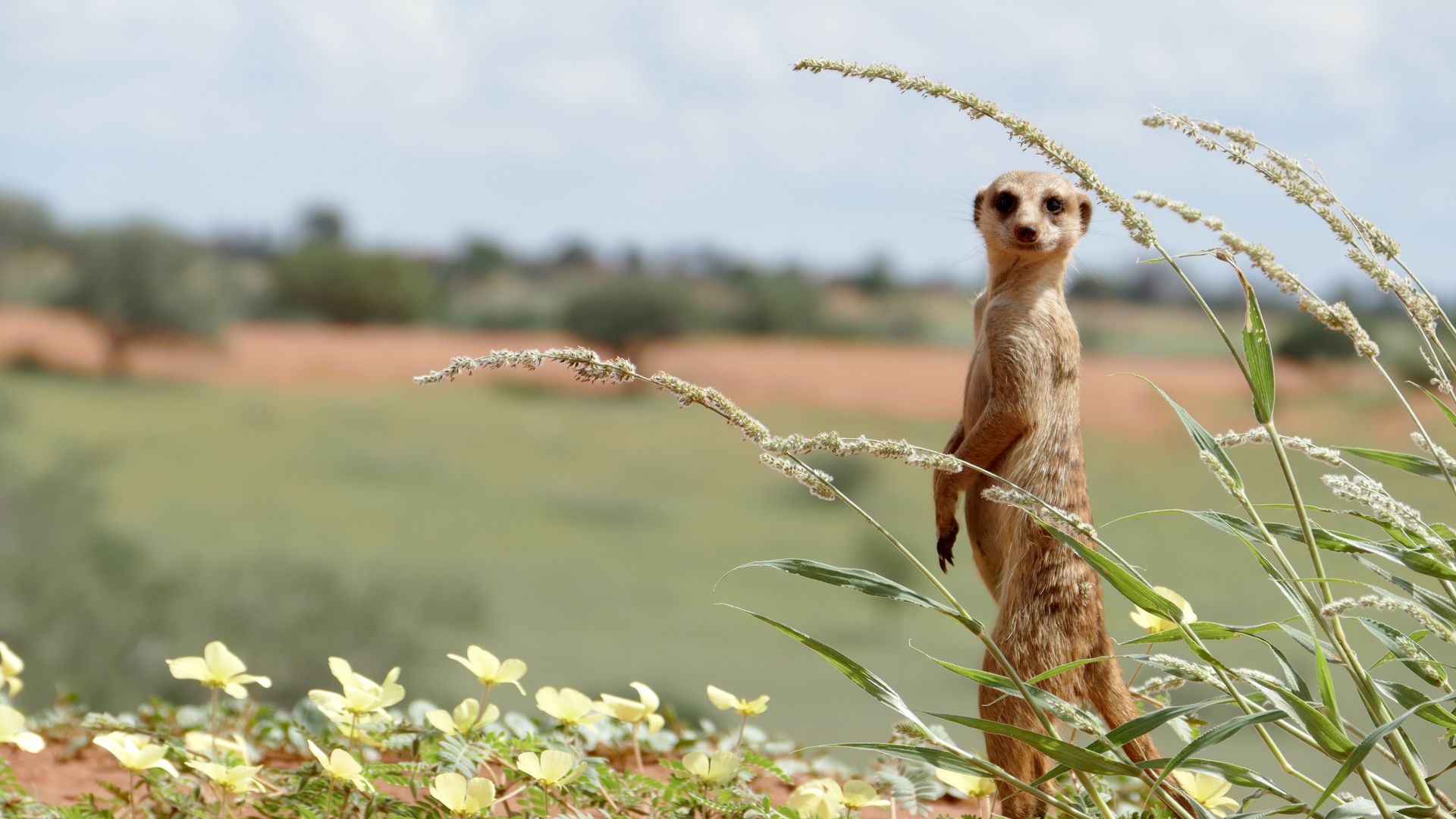 Reisspecialist Marit van Matoke Tours op studiereis in Namibië