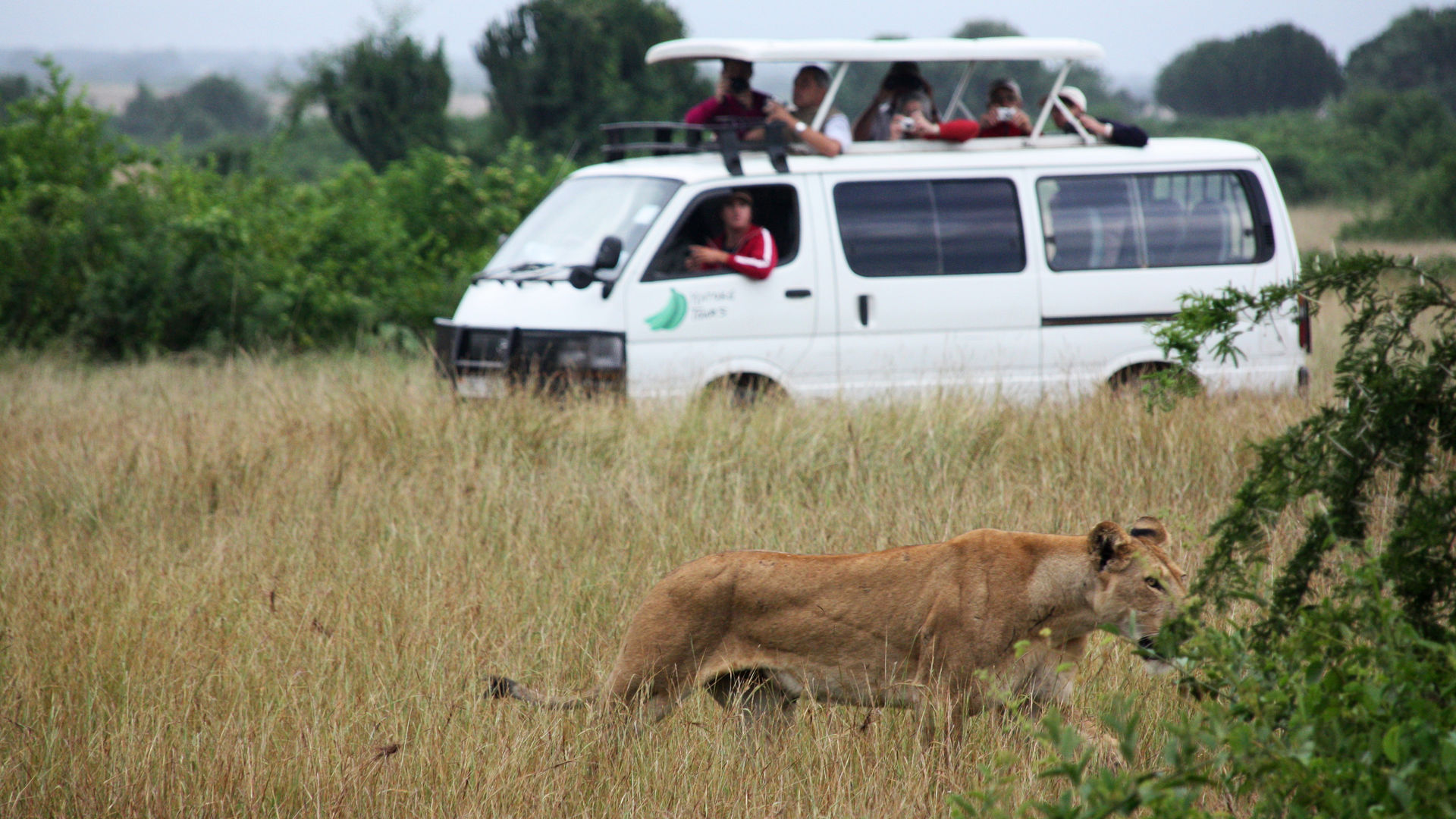 4WD safari voertuigen Oeganda | Matoke Tours