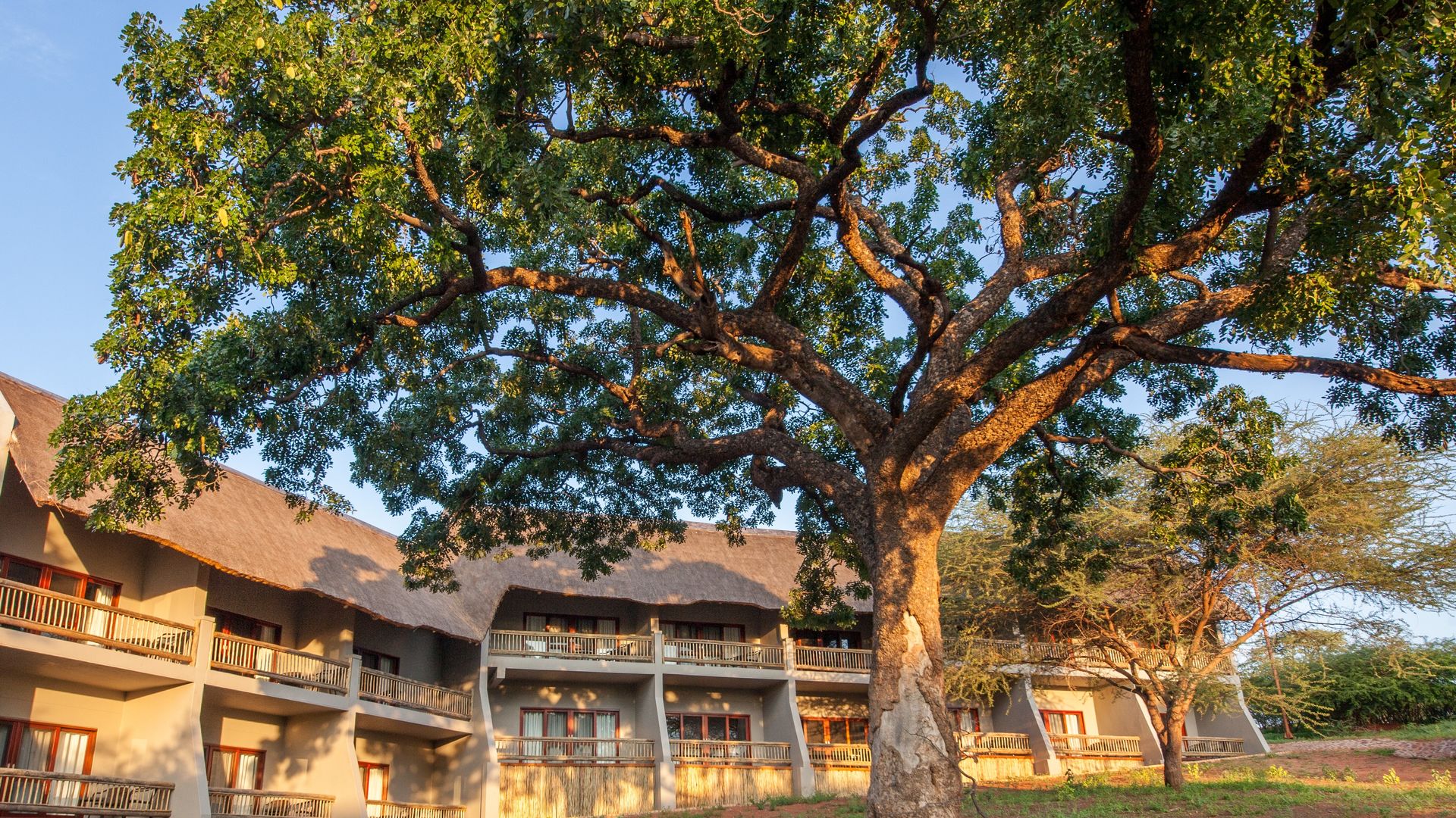 Chobe Bush Lodge » Matoke