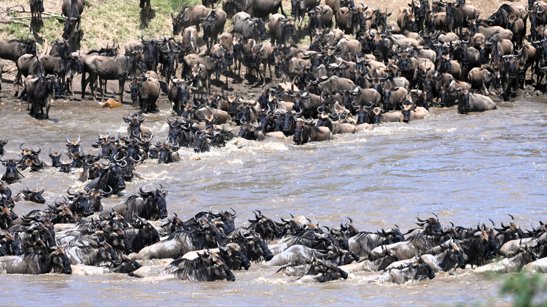 Fotograaf: Jelger van Weydom
Noteer naam wanneer je deze foto gebruikt.