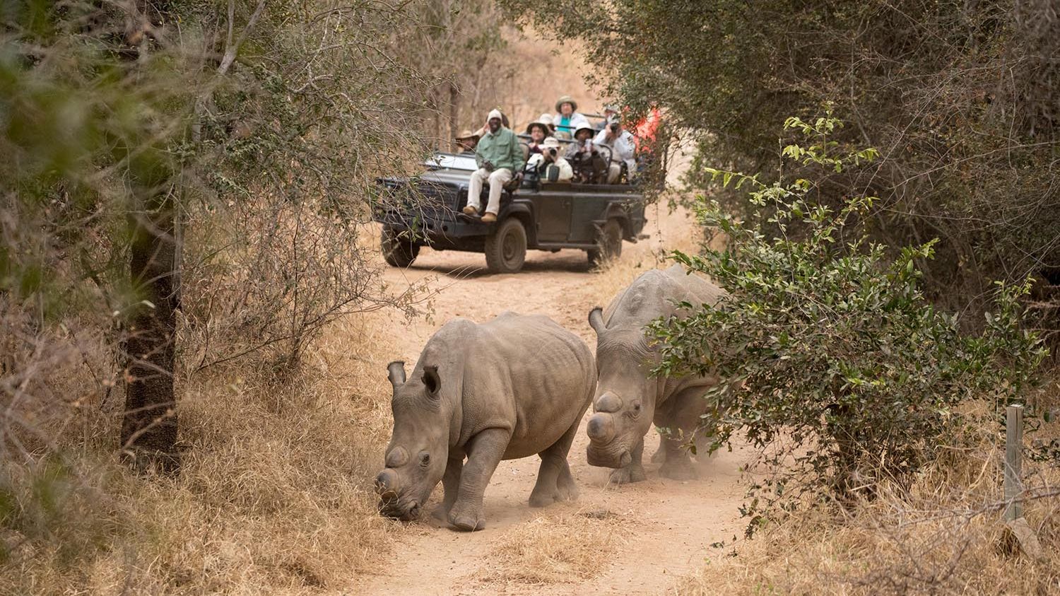 Kuname Safari Lodge » Zuid Afrika » Matoke Tours