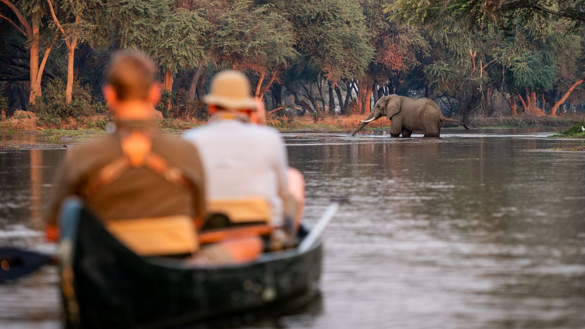 Kutandala Camp » Zambia » Matoke Tours