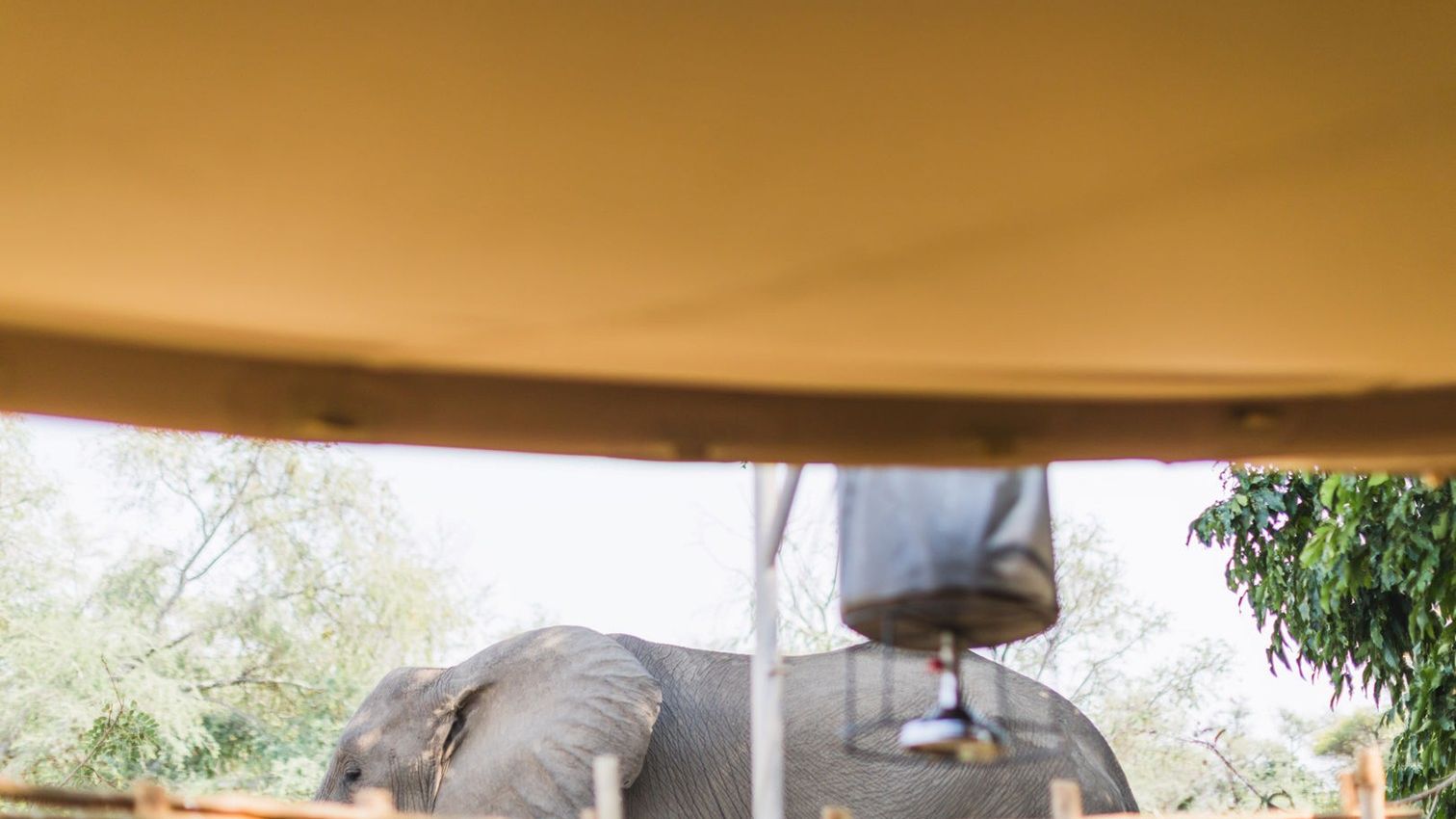 Kutandala Camp » Zambia » Matoke Tours