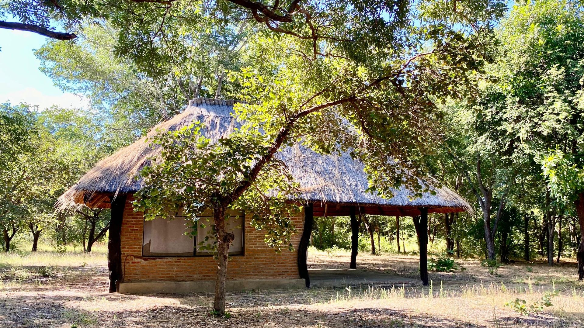 Kuti Wildlife Reserve » Matoke
