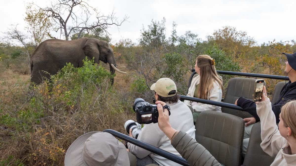 Kwa-Mbili Game Lodge » Matoke