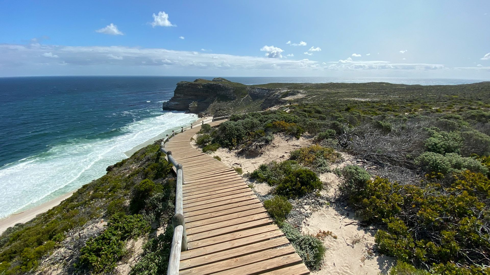 Kaap de Goede Hoop - ruige natuur en oceaan | Matoke Tours