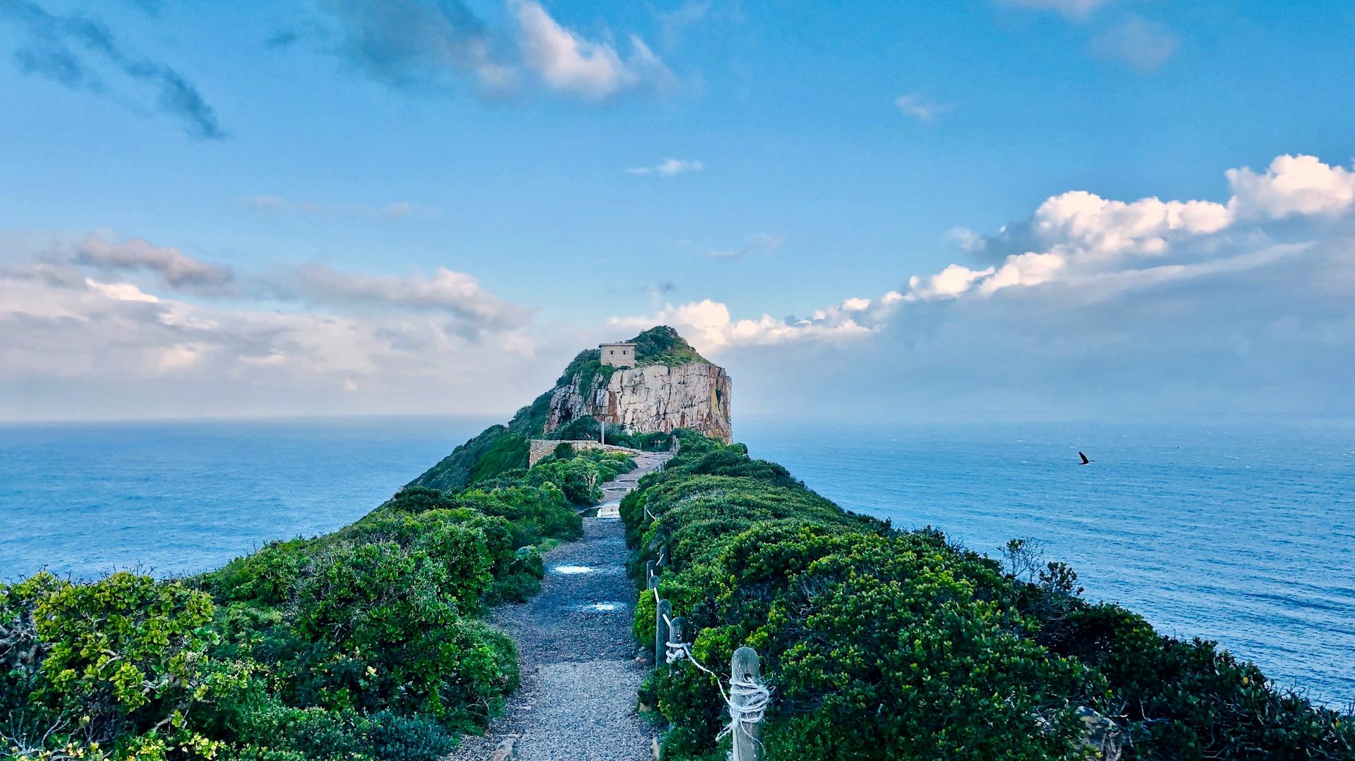 Kaap de Goede Hoop - ruige natuur en oceaan | Matoke Tours