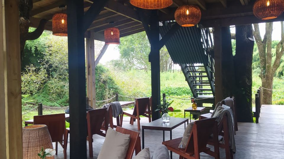 Kanopea Forest Lodge » Matoke