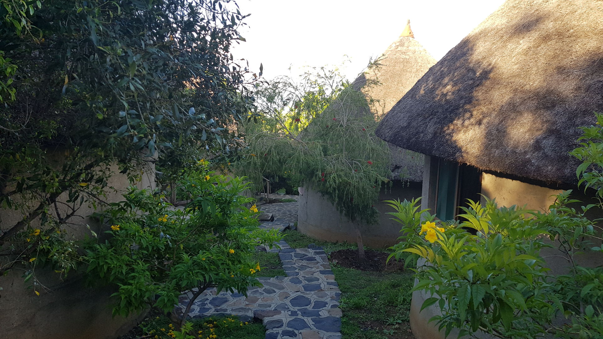 Kanta Lodge » Matoke