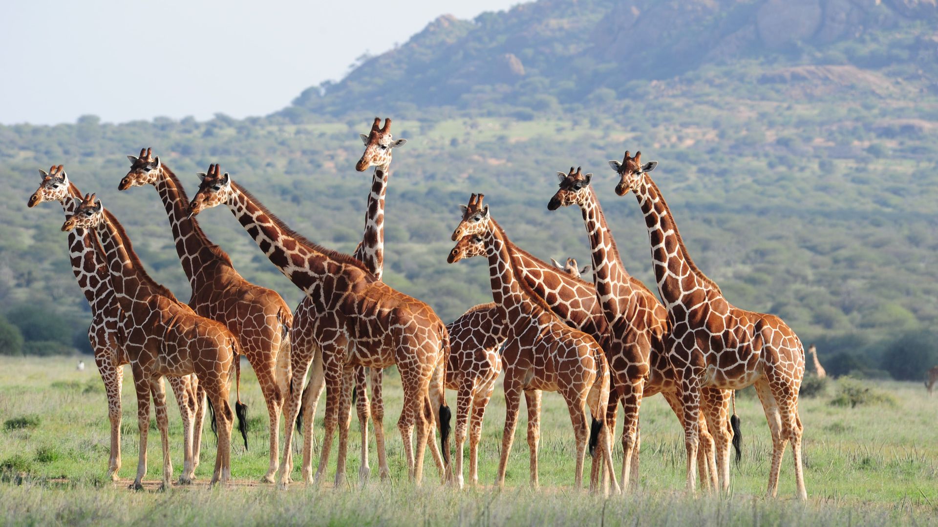 15-daagse individuele Kenia reis - Matoke Tours