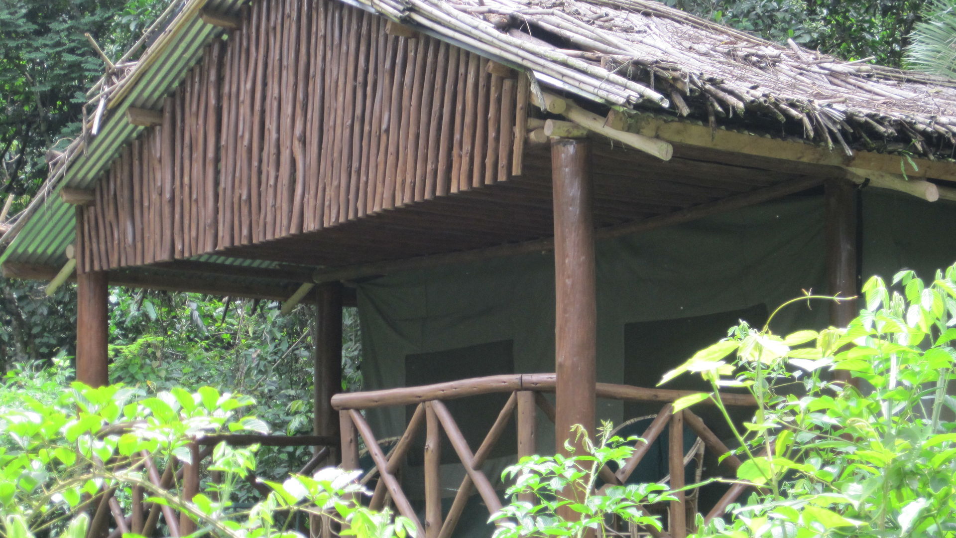 Kibale Forest Camp » Matoke