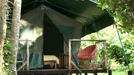 Kibale Forest Camp » Matoke