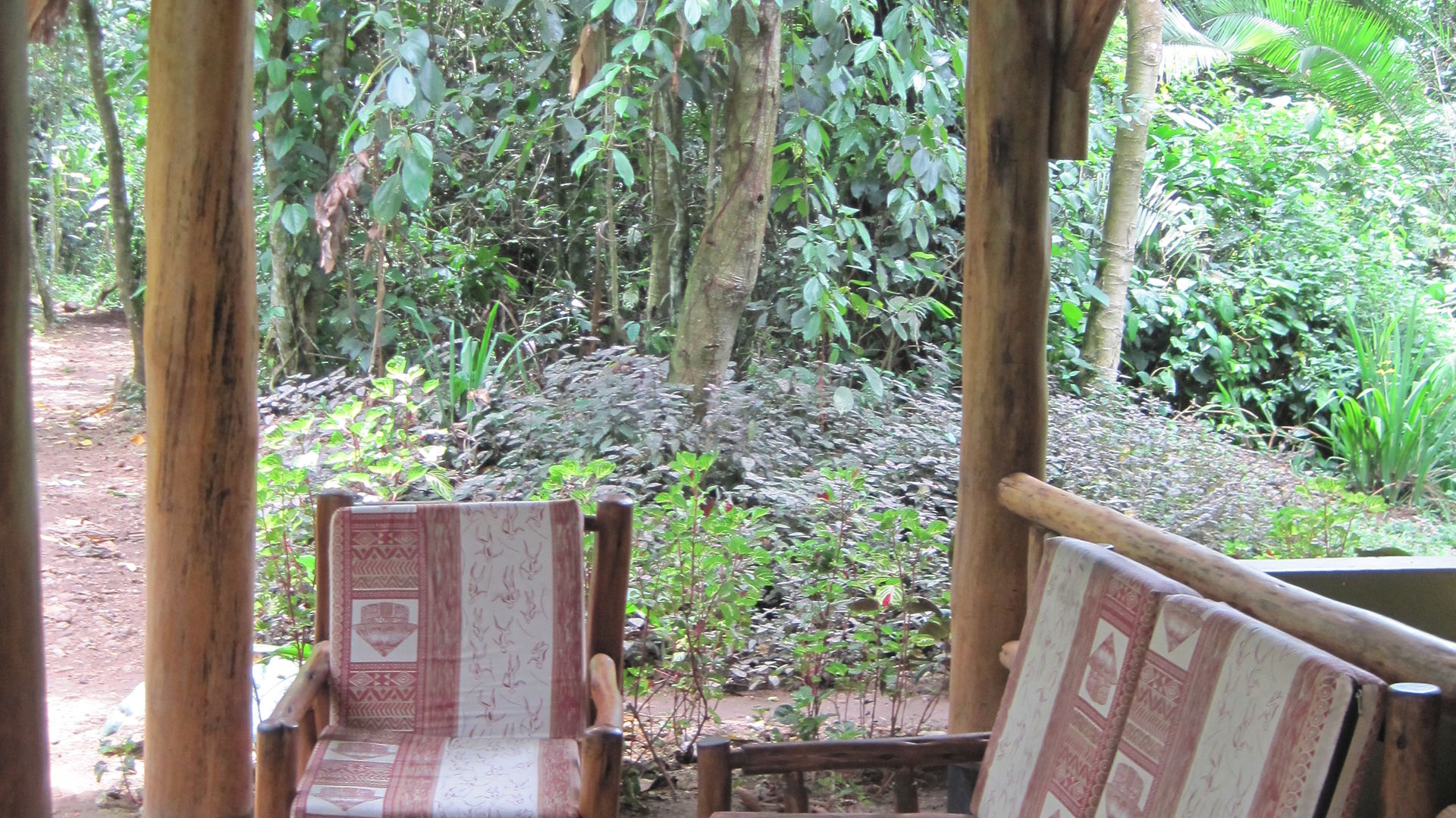 Kibale Forest Camp » Matoke