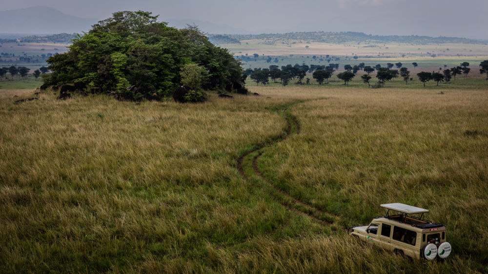 Kidepo Valley National Park – Matoke Tours