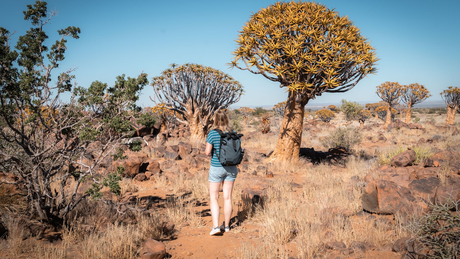 Reisverhalen Afrika - Klant- en reisverhalen van Matoke reizigers