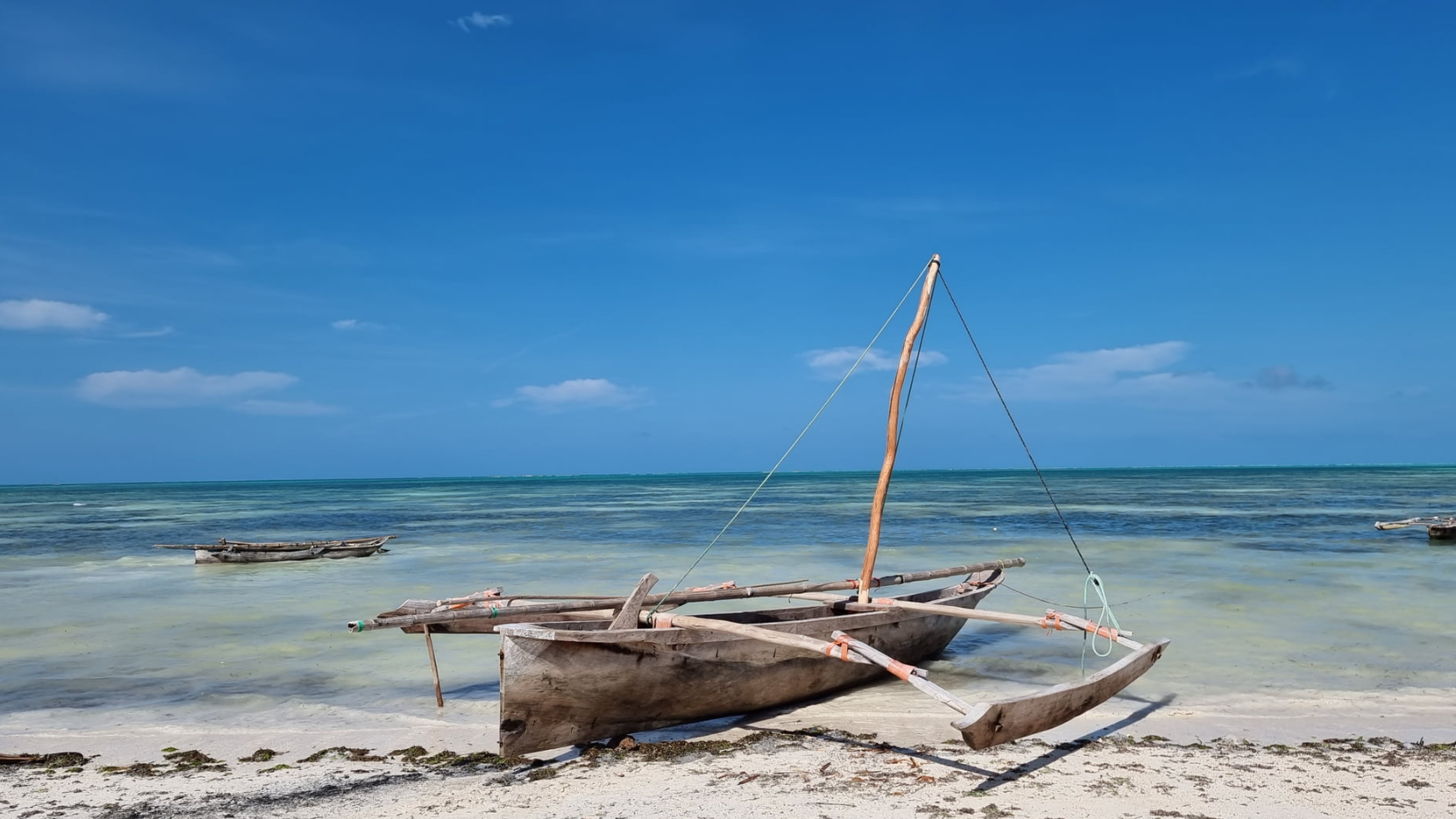 Fotograaf: Paul Kommeren
Noteer naam en/of tag @paulkommeren wanneer je deze foto gebruikt.