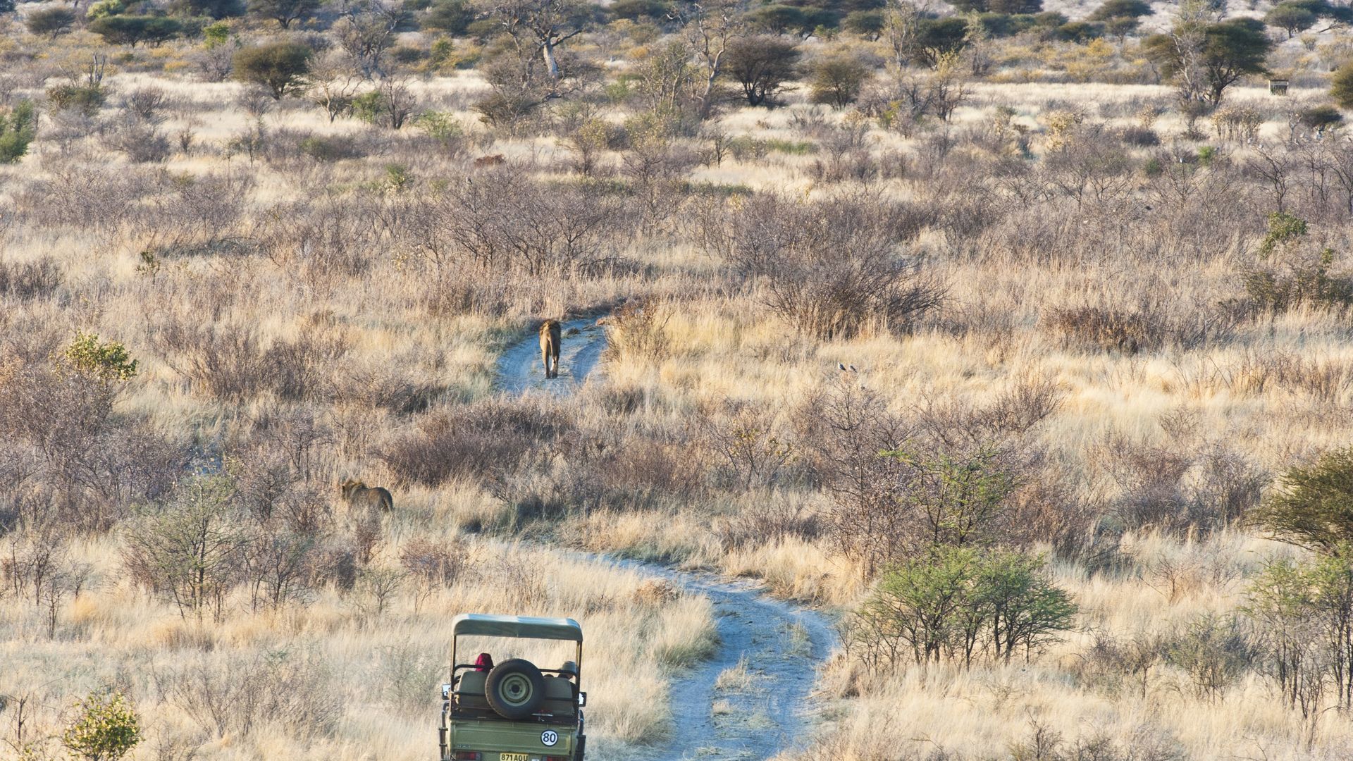 Individuele rondreis Botswana | 12 dagen reis | Matoke Tours