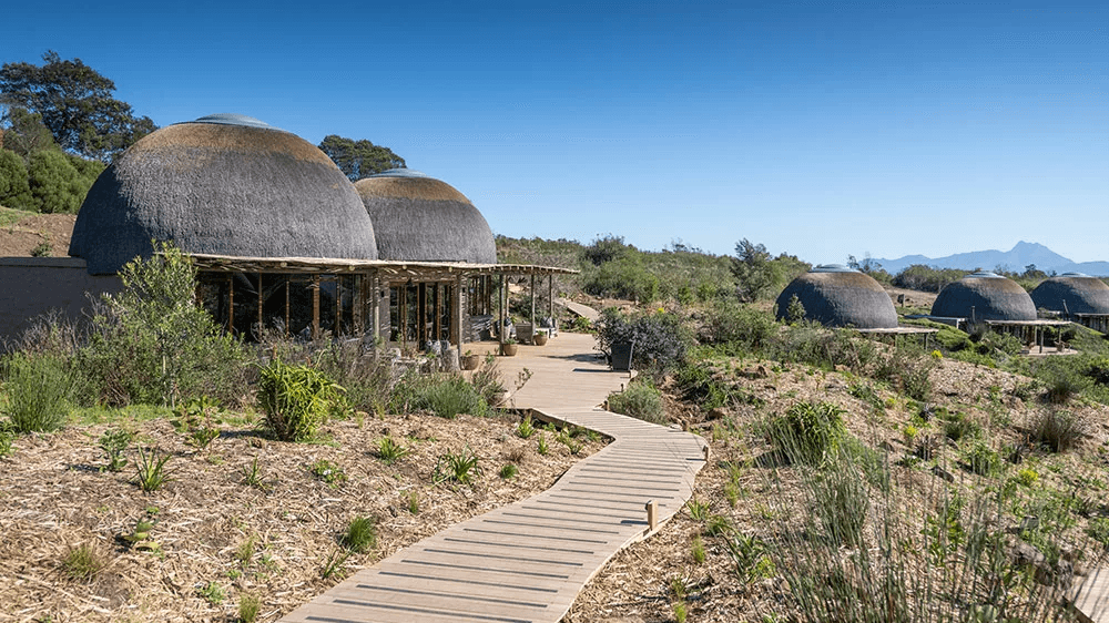 Kwena Lodge » Matoke