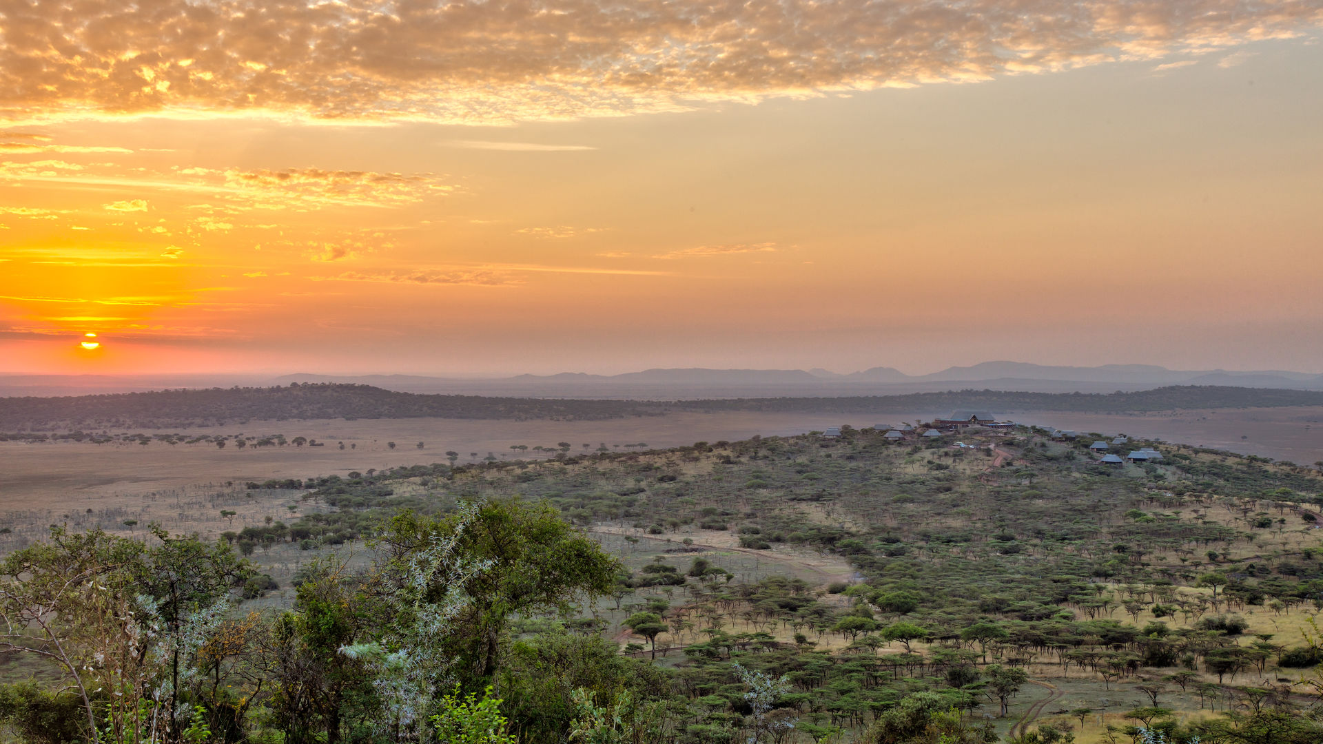 Safari Tanzania en strandvakantie Zanzibar | Matoke Tours