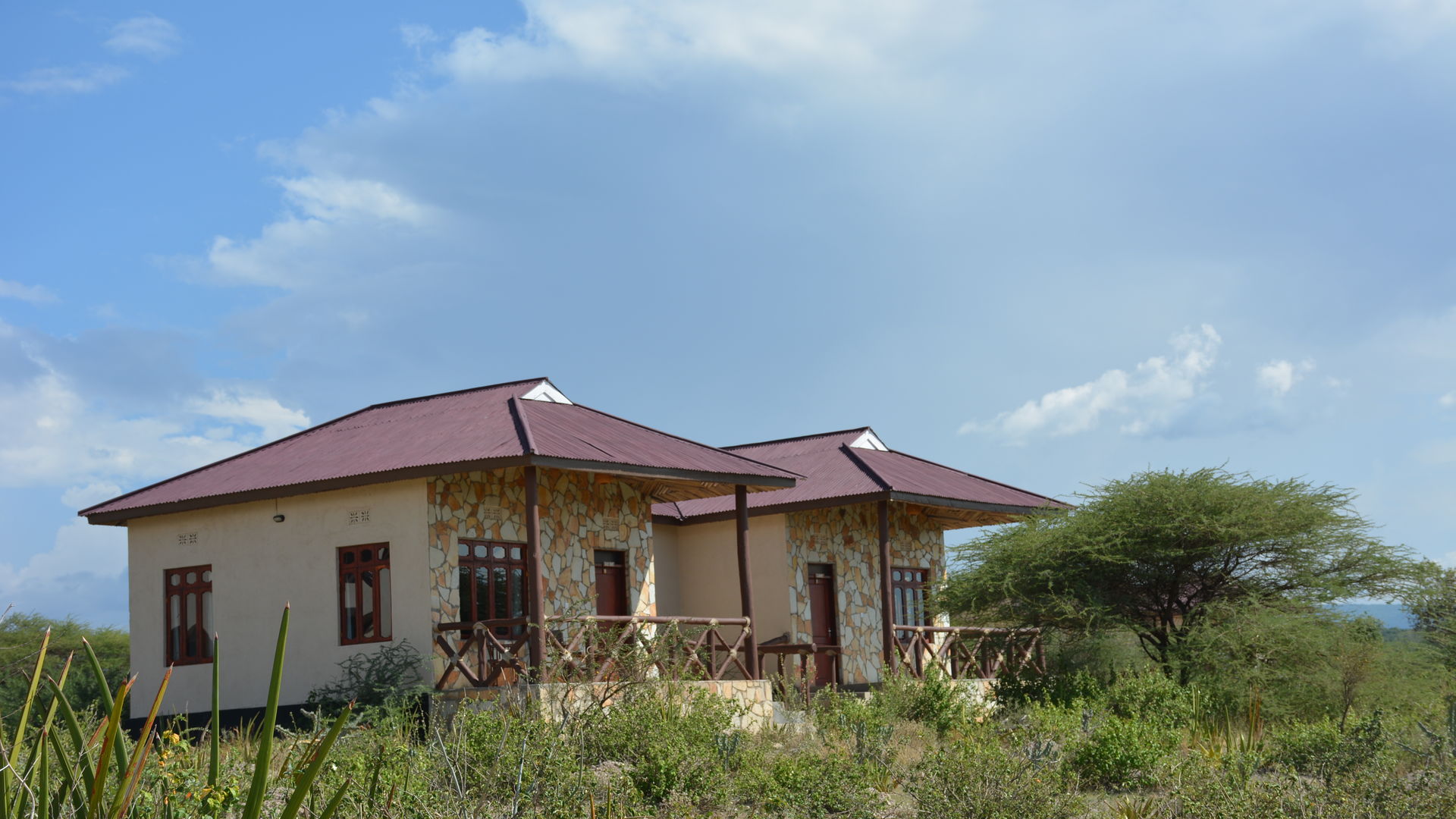 Lake Eyasi Safari Lodge » Matoke