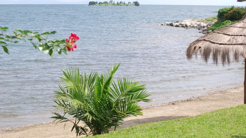 Verlenging Congo Nile trail » Matoke
