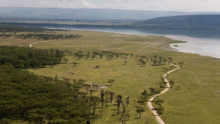 Lake Nakuru National Park - Bezoek Nakurumeer | Matoke Tours