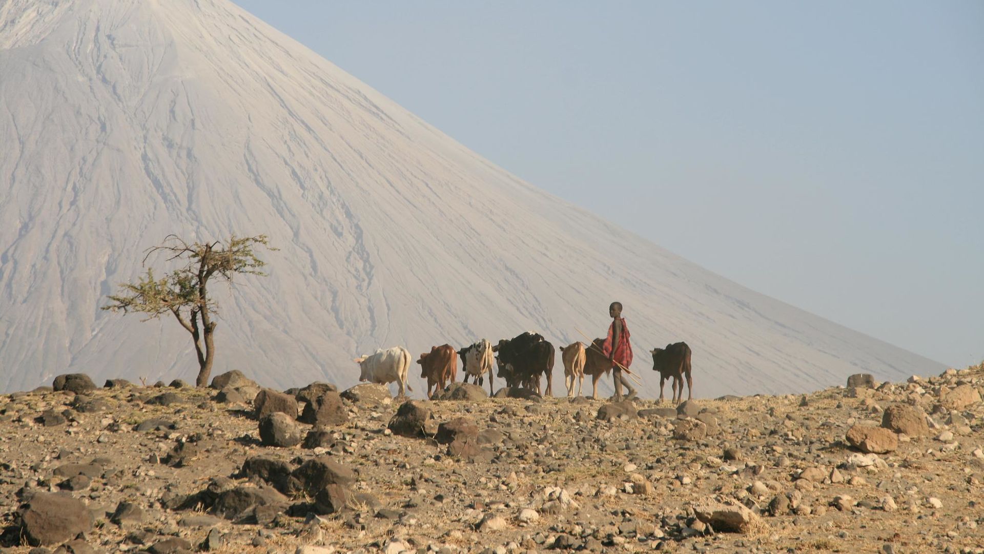 lake natron safari lake natron safari