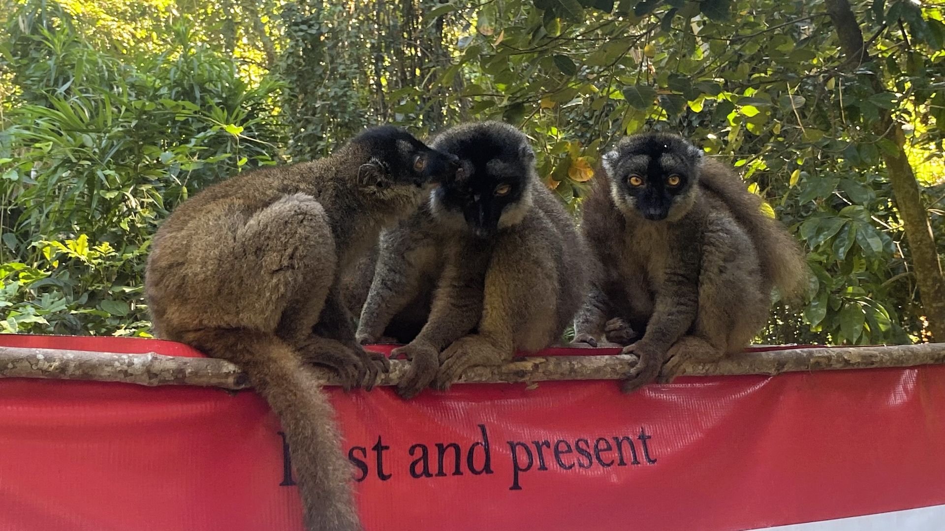 Reisspecialist Sanne op studiereis in Madagascar | Matoke Tours