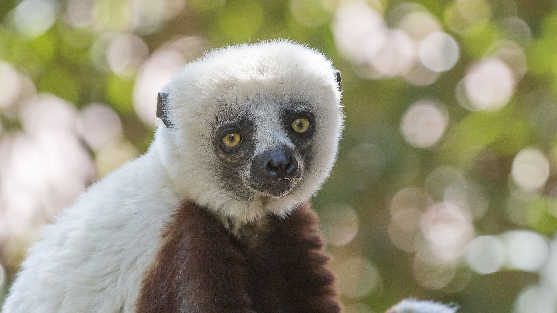 Madagascar excursies en activiteiten - Ankarana Tsingy rotsen