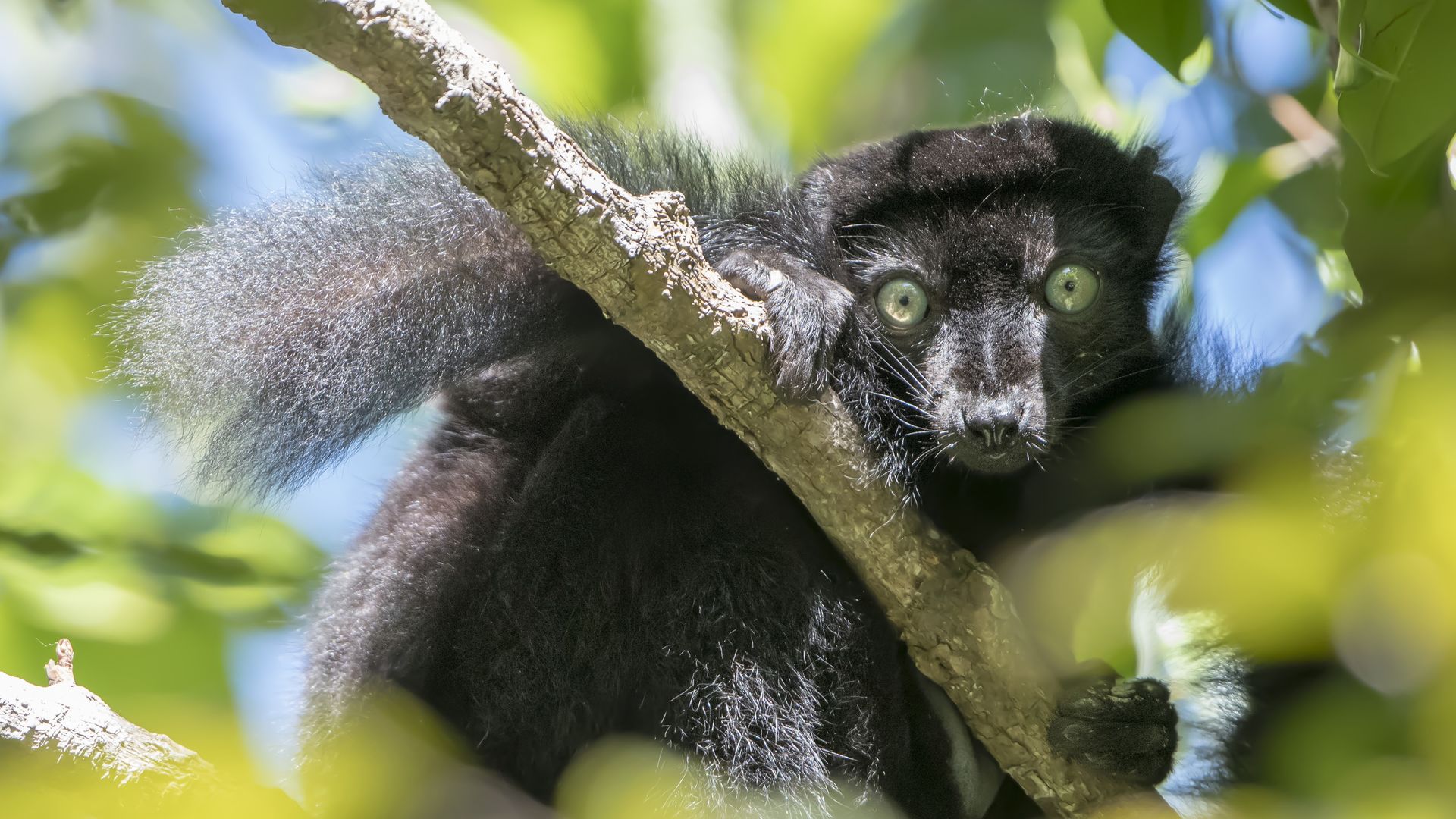 Drieweekse rondreis door het noorden van Madagascar - Matoke Tours