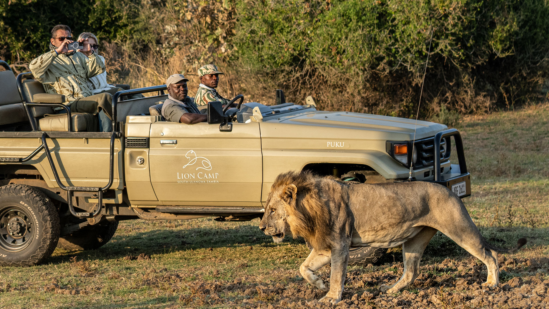 13-daagse safari reis door Zambia: Busanga Plains en South Luangwa