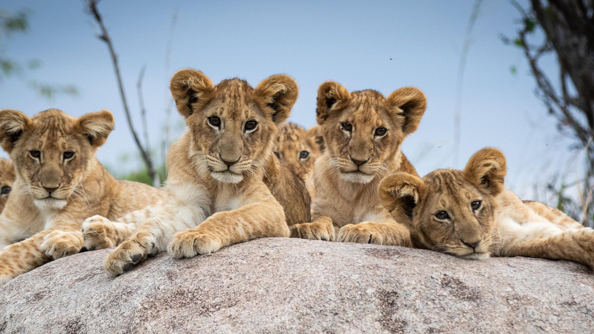 Matoke Tours - de Oeganda beleving