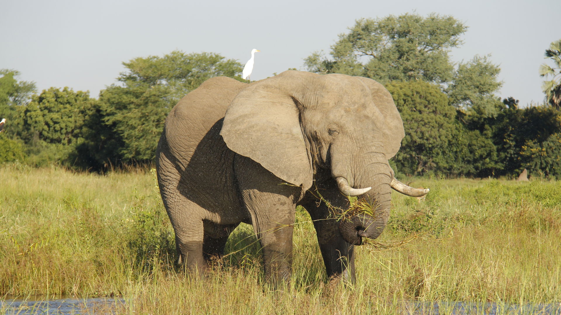 Visum Malawi - Tips voor het aanvragen van een visum