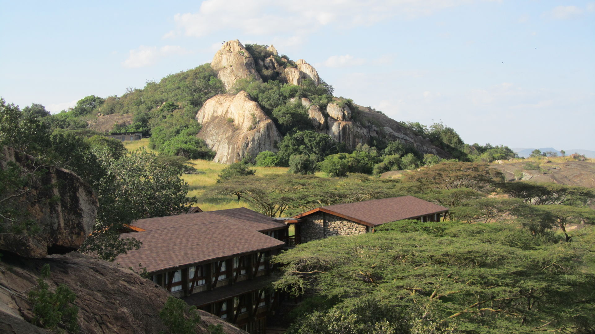 Lobo Wildlife Lodge » Matoke