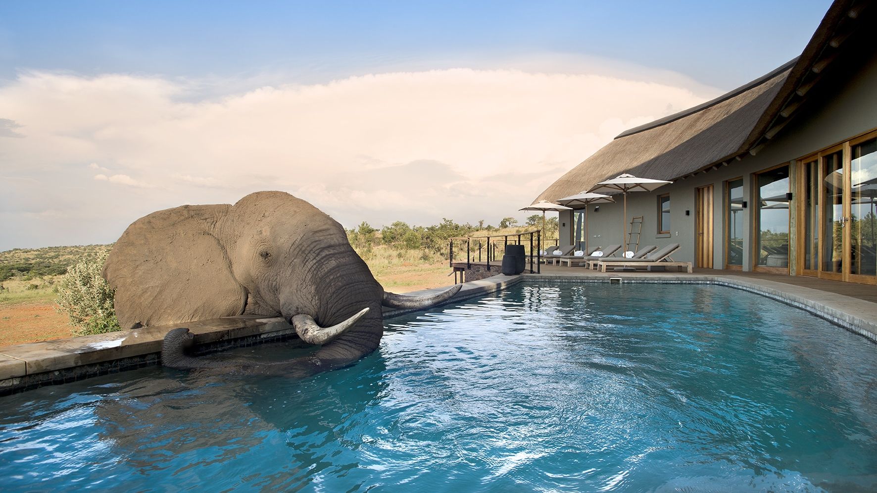 Mhondoro Safari Lodge » Zuid Afrika » Matoke Tours
