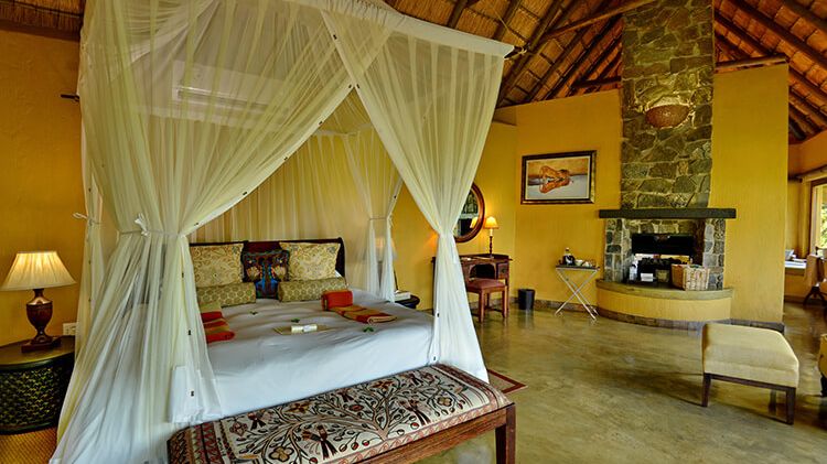 Motswiri Private Safari Lodge » Matoke