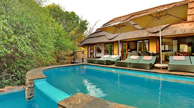 Motswiri Private Safari Lodge » Matoke