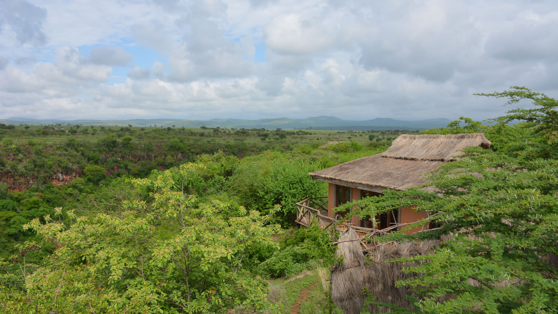 Lake Manyara Escarpment Lodge » Matoke