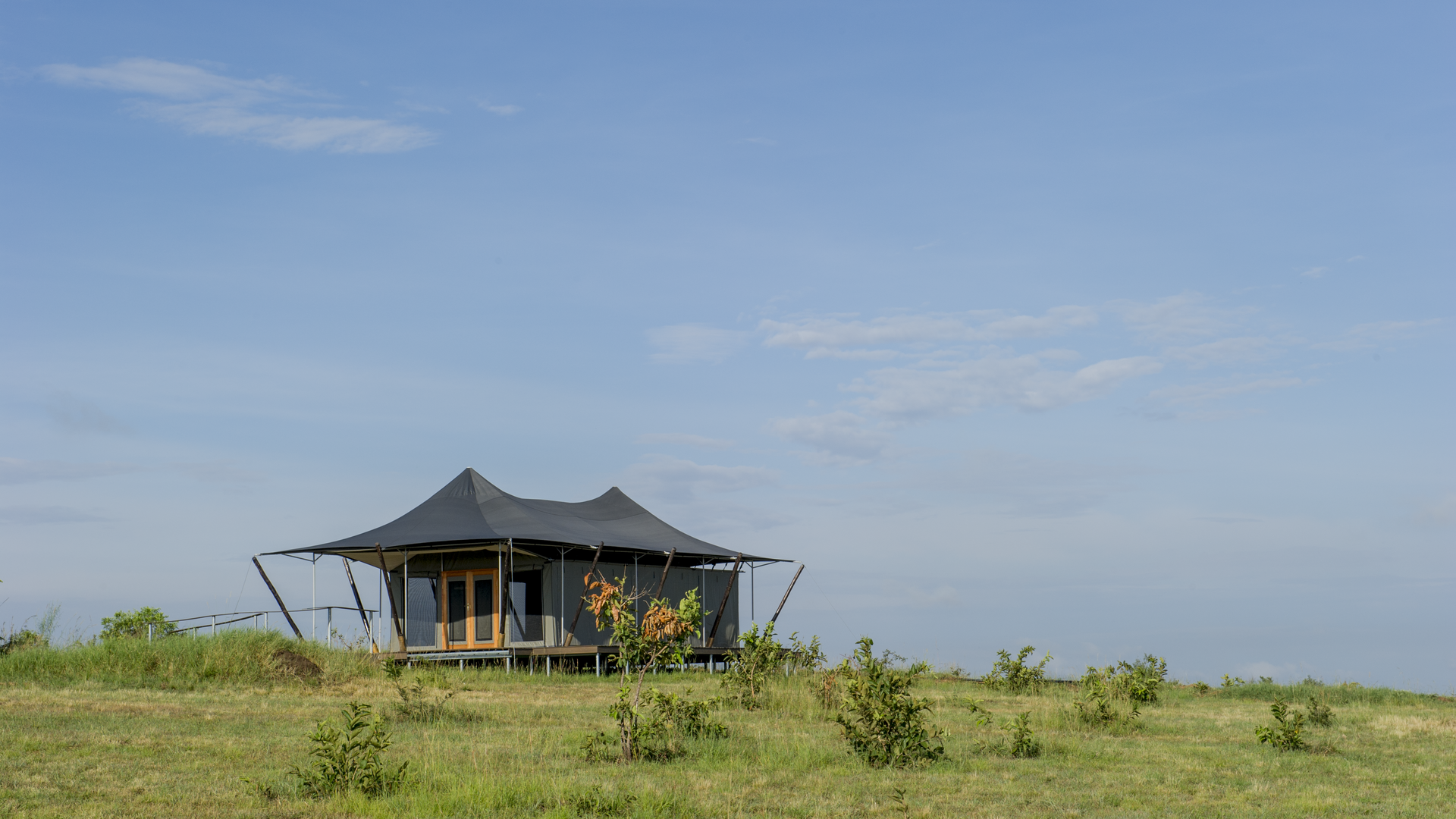 Mara Mara Tented Lodge » Matoke