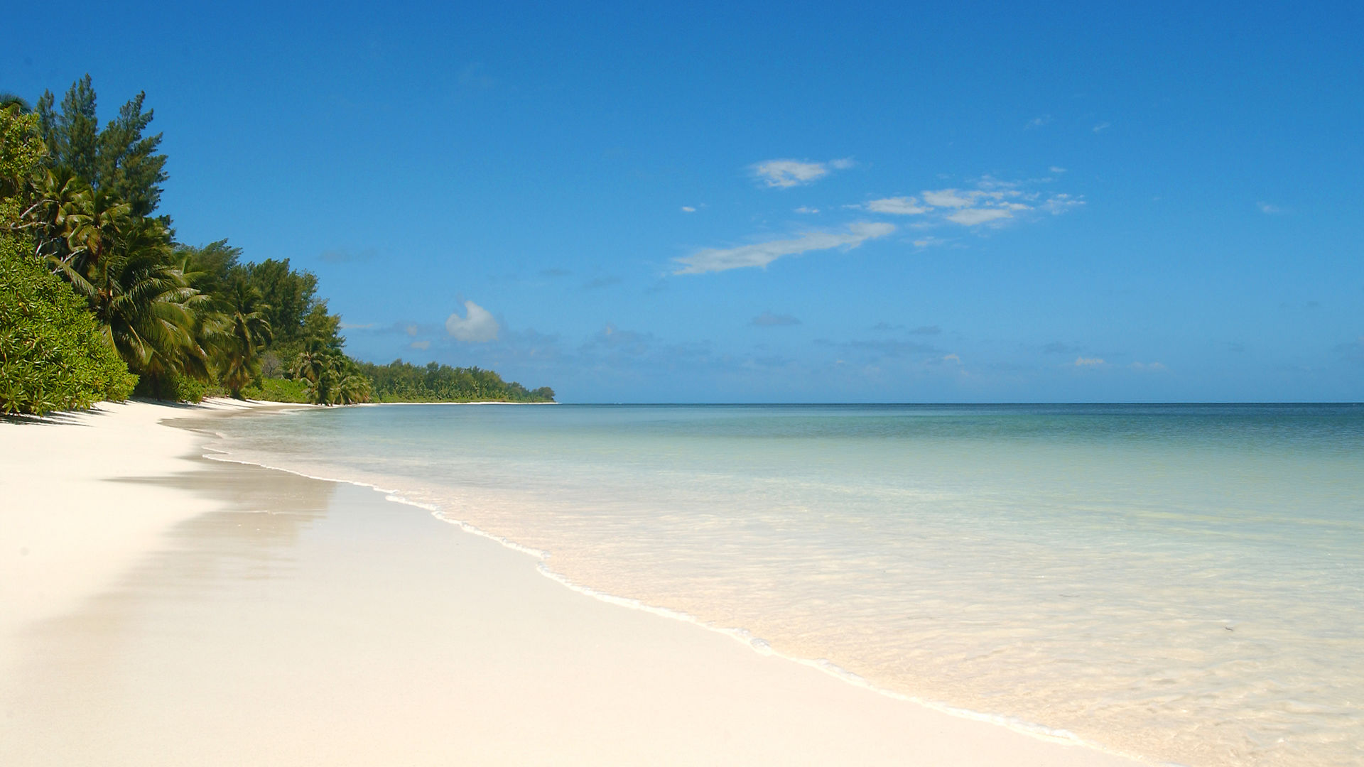 Praslin Island | Seychellen | Matoke Tours